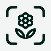 Planto Icon